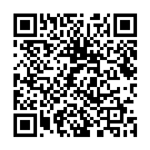 而这留守在三块大陆上的各个种族不仅有天仙期以下的修士二维码生成