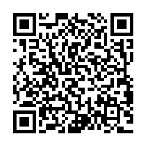 而迫不及待的牟晨菲已经派遣自己的人手在费率滨首都等待了二维码生成