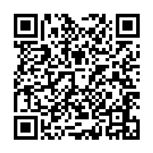 而通往异世界的道路等到唯有十年一次的漩涡之门开启二维码生成