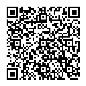 而造成这一切的原因便是因为秦宇的元神小人那中指与廖霭的巨大手掌碰撞在一起的时候二维码生成