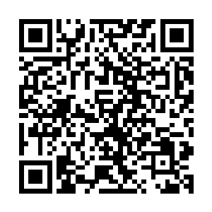 而那两头巨龙听了格里斯的话之后顿时有些惊讶的看着格里斯二维码生成