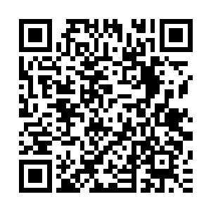 而那个拇指粗细的光环则是第十三条经脉凝聚而成的天道光环二维码生成