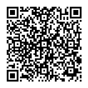 而那些主动站出来和星域宗共同应对浩劫的散仙却可以获得和宗门修士相同的待遇二维码生成