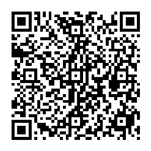 而那些各种血肉生命的肉沫之类的属于其他生物也可以吸引的配料占据了配料的好几成二维码生成