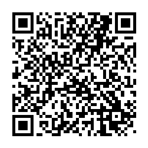 而那雪亮的开山刀分明就是搞空军地勤那几个家伙自己用设备打磨的二维码生成