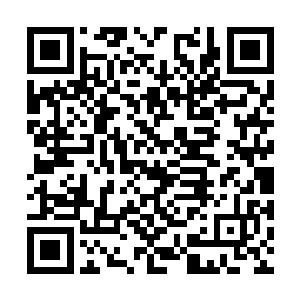 而陈仲煌在愣了一下之后神识便是落回到死亡北海二维码生成
