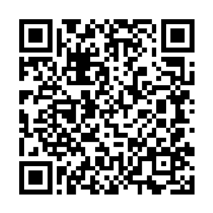 而高扬在李金方和以色列的教官进行格斗上的交流时二维码生成