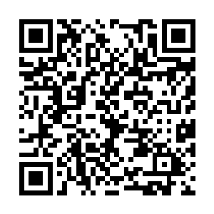 耗费了一千五百块符玉石才完全掌握使用三种阵法二维码生成