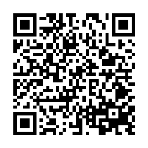 耳畔边依然还回荡着月曦那撕心裂肺的怒喝和咒骂声二维码生成