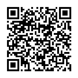 耳畔还在回荡着袁老院长和王明昌老专家的争吵声二维码生成