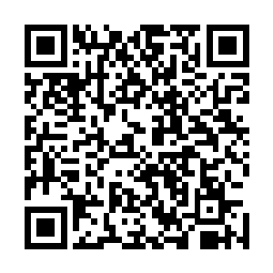 聂离准备今天晚上给凝儿融合一只神级成长性龙血妖灵出来二维码生成