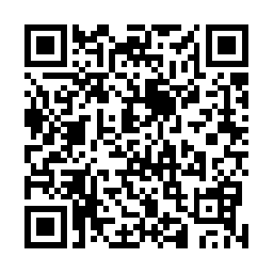 联合国世界粮食计划署是世界上最大的人道主义援助机构二维码生成