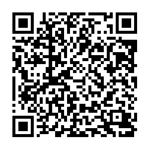 联系到梦境神殿的人需要一整支裁判所的队伍才能对付一头带有印记的野兽二维码生成