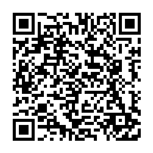 肖嬷嬷手脚麻利地将几碟精致的小菜与一盅燕窝汤和一碗米饭布到了小桌上二维码生成