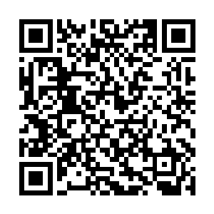 肢体语言甚至是微表情都是他们彼此交流的重要手段二维码生成