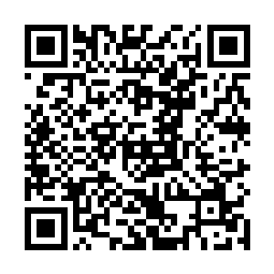 肩膀上白色的衣衫被划开了一道裂痕染上了淡淡的红色二维码生成