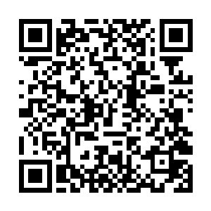 肩膀上蓬松柔软的皮草衬得他的笑容越发温柔而温暖二维码生成