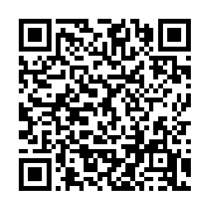 肯定会到处宣扬是gz玄学会在这次交流会上搞了鬼二维码生成