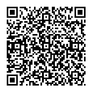 肯定会对我们国家今后在推进走出去战略以及进一步发展我们国家和相关国家的战略合作关系产生巨大的负面影响二维码生成