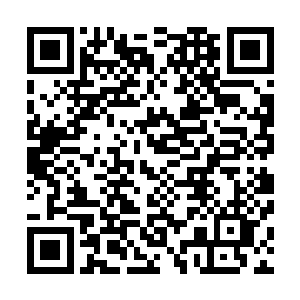 肯定会有很多人在私底下怂恿夏洛克燕来个兵变政变什么的二维码生成