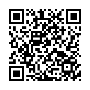 肯定是巴不得把之前欠下的作业一起给上交了二维码生成