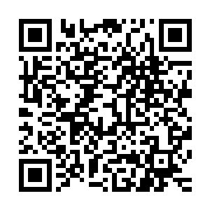 肯定是希望两人最好在这一战中消耗掉有生力量……既然如此二维码生成
