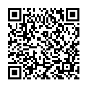 肯定是苏氏集团的员工们把照片上传到微博微信上面二维码生成