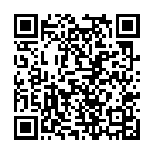 肯定有一些特殊的保命底牌和一些特殊的杀人手段二维码生成