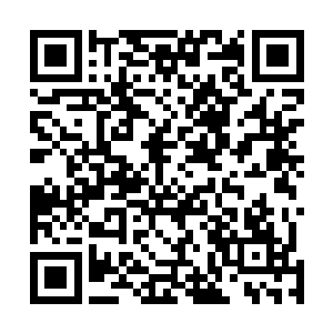 背后的大屏幕开始浮现出以往的翻拍片网络资源销售冠军二维码生成