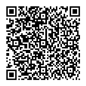 胡三丁对着贝海挥动着自己手中刚捞上来的两只生耗对着贝海示意了一下然后扔到了漂着的充气皮圈套着的空桶里二维码生成