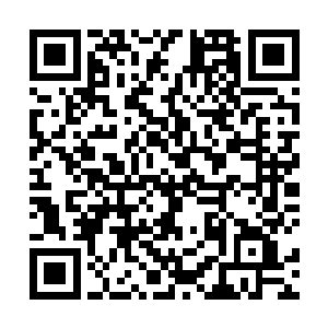 胡方野和温兆华他们找来那帮人在一旁无比夸张的喊道二维码生成