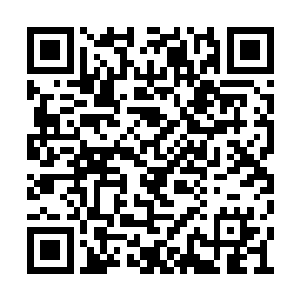 胡老自然是跟他说的张生在卫生系统任职的身份二维码生成