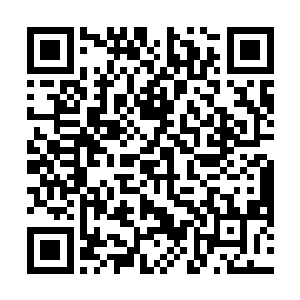 胸前的一对丰满随着赵菲菲急促的呼吸在微微的颤抖着二维码生成