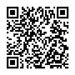 能加盾加大量生命值堪称有起死回生之作用的璐璐不在此之列二维码生成