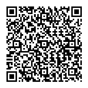 能劳动镇长和镇长夫人亲自出面的……看来他们已经屈打成招逼的芸姑娘承认是她杀了袁二了二维码生成