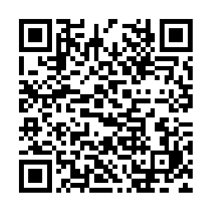 能在三千界称得上底蕴非常强的大势力的嫡传弟子二维码生成