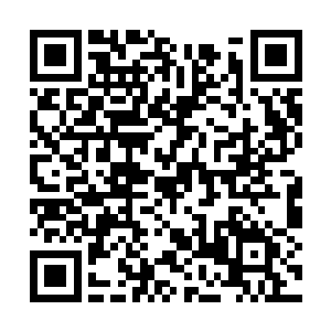 能在几乎同一个瞬间将这么多不同境界的修士斩杀二维码生成