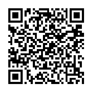 能在这里听蒲大判官给你们解疑答惑是你的福气二维码生成