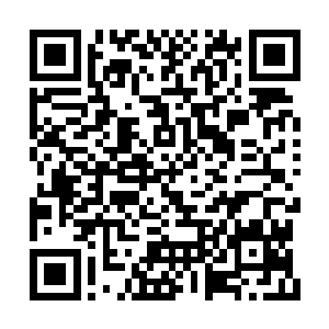 能在那顶尖的密地里修炼的都是三大宗门的弟子二维码生成