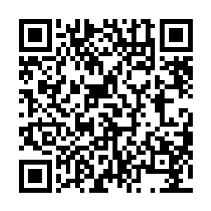 能够和我们暗殿白银左使成为朋友那是你小男朋友的荣幸二维码生成