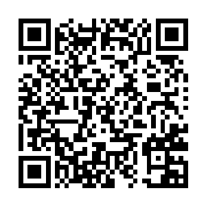 能够和紧追不舍的巨人尸兄保持一个相对安全的距离二维码生成