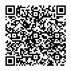 能够在浩劫降临之前将隐藏在上元大陆上的混沌兽全部杀光便可让自己无后顾之忧二维码生成