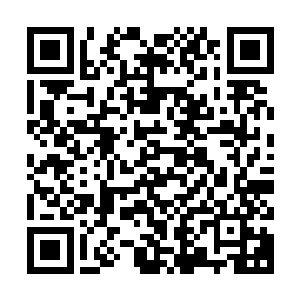 能够瞒过猎海城的重重禁制探查和猎海城那么多高阶修士的感应二维码生成