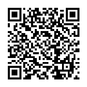 能够被一个氏族珍而重之地放在陈列室最醒目的地方二维码生成