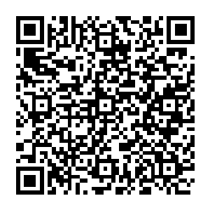 能够让这些知识成为一种文化成为一种基因流敞进你们的血液和你们融合在一体吗二维码生成