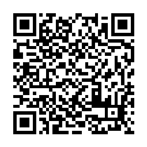 能够轻而易举的抵挡住一百多位不朽境强者的威压二维码生成