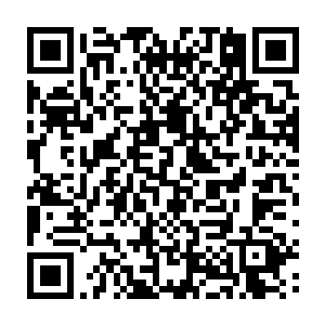 能有机会在巅峰争霸s3这种规格的比赛里跟偶像打上一场……他们自是不愿错过二维码生成