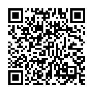 能极大扰乱肉眼和晶眼的扫描――敌人连他的样子都看不清楚二维码生成