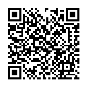 脑子里想起上次池墨卿和佟诗丽在餐厅就餐的画面二维码生成