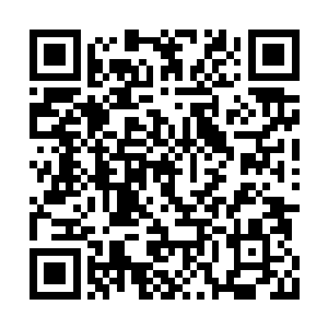 脑子里琢磨的都是每一次敲打所总结出来的经验二维码生成